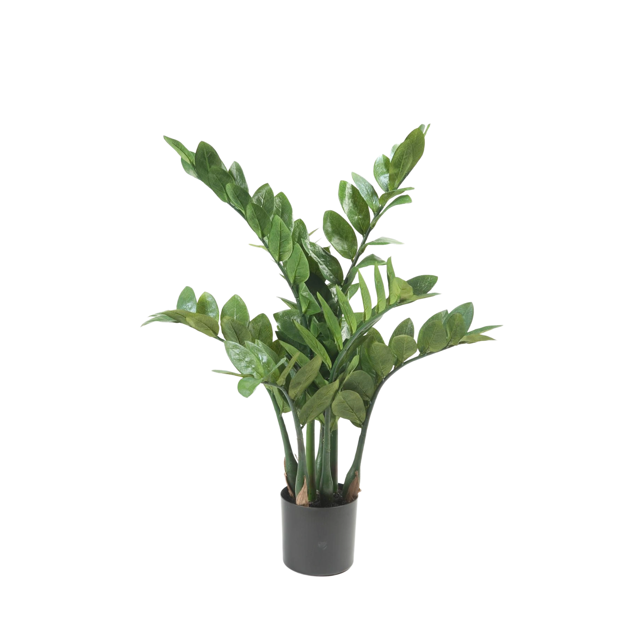 Zamioculcas Kunstplant (ZZ Plant)