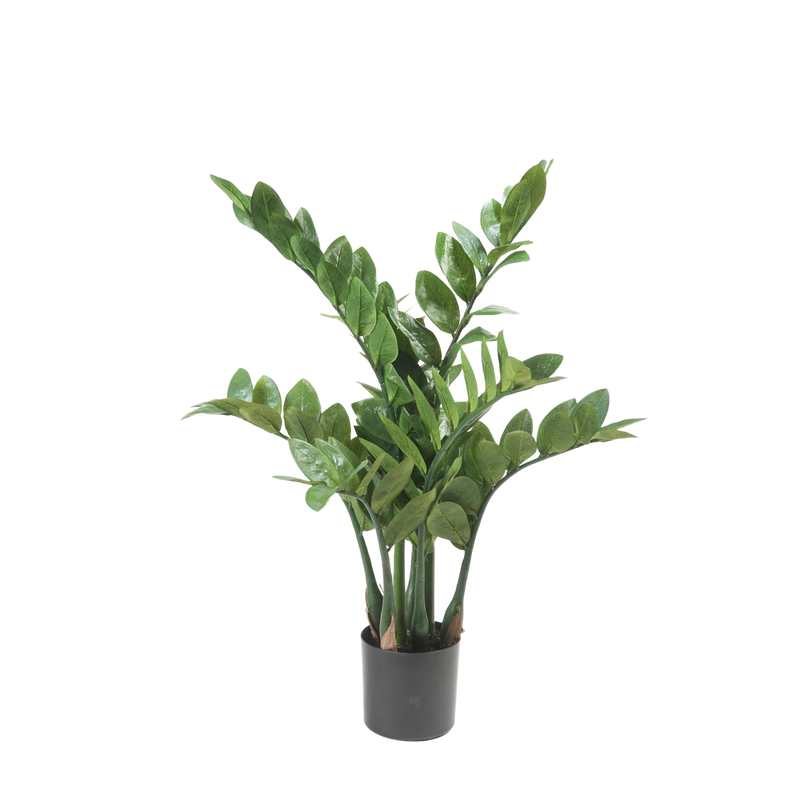 Zamioculcas Kunstplant (ZZ Plant)