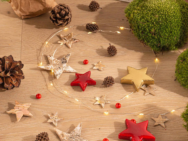 DIY Kerst Terrarium Startpakket – Mini Kerstboom