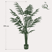 Rumohra Adiantiformis Kunstplant (Ledervaren)