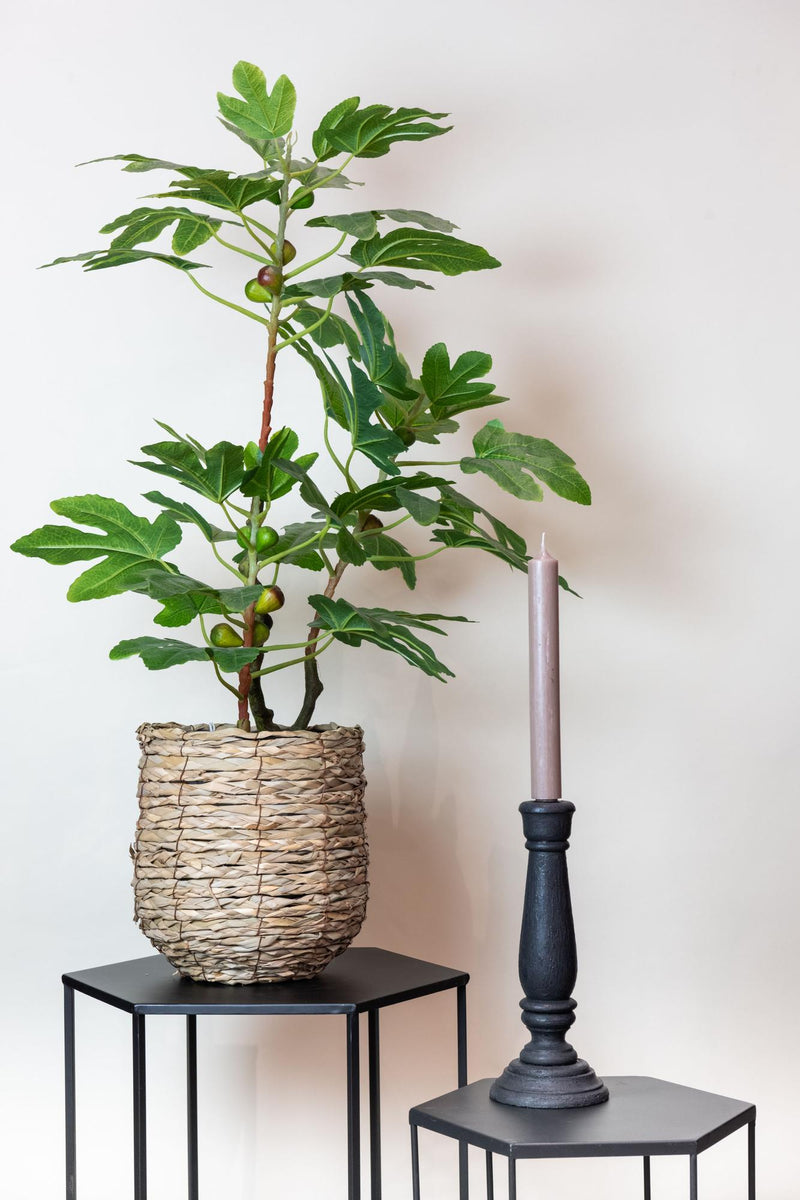 Ficus Carica Kunstplant (Vijgenboom)