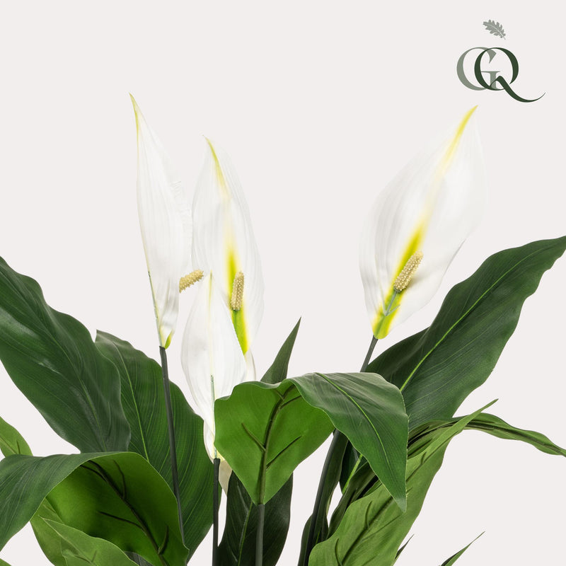 Spathiphyllum Kunstplant (Lepelplant)