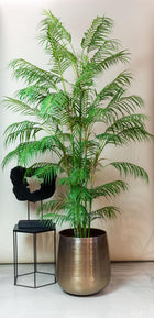 Chamaedorea Elegans Kunstplant (Bergpalm)