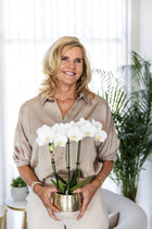 Kolibri Orchids – Witte Phalaenopsis Amabilis in Elite Gold pot