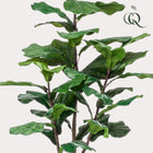 Ficus Lyrata Kunstplant (Tabaksplant) Everspring