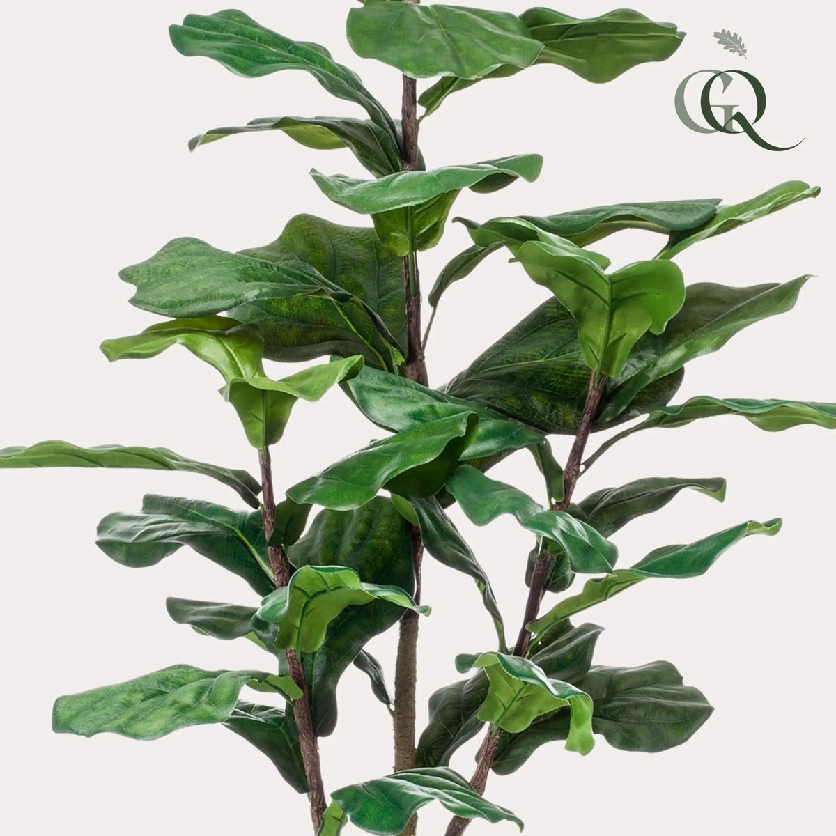 Ficus Lyrata Kunstplant (Tabaksplant) Everspring