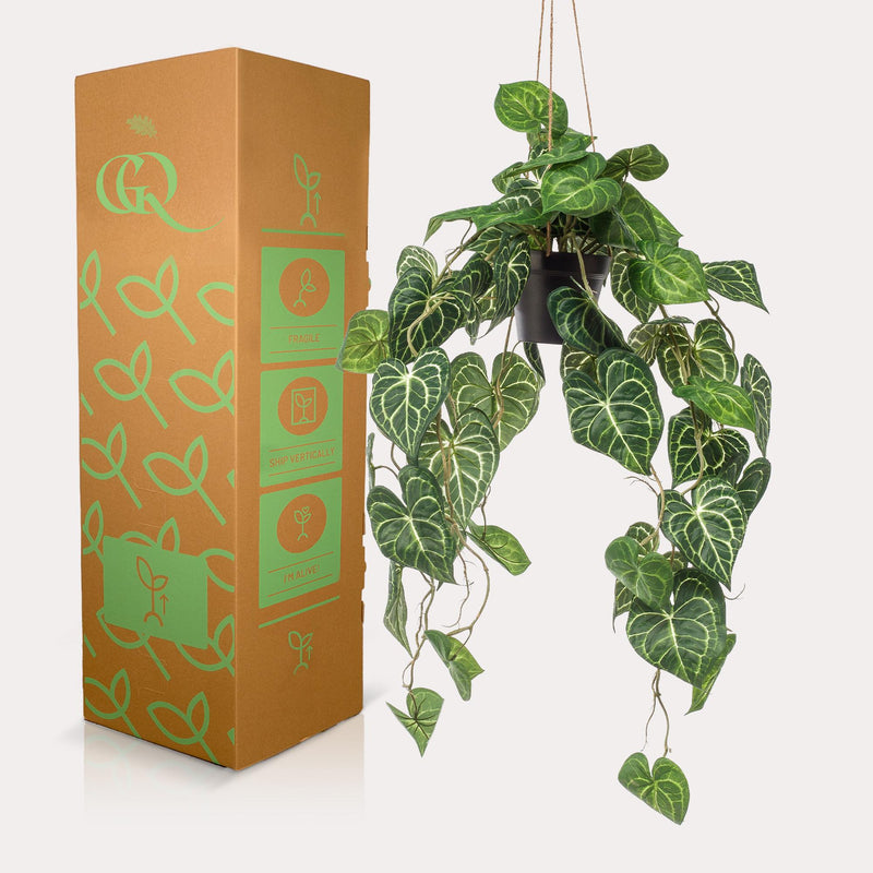 Anthurium Clarinervium Kunstplant (Aderplant)