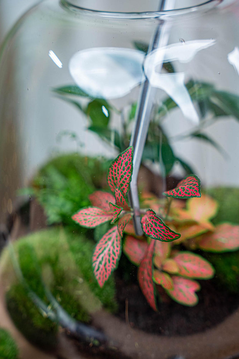 Terrarium Pincet – Metaal