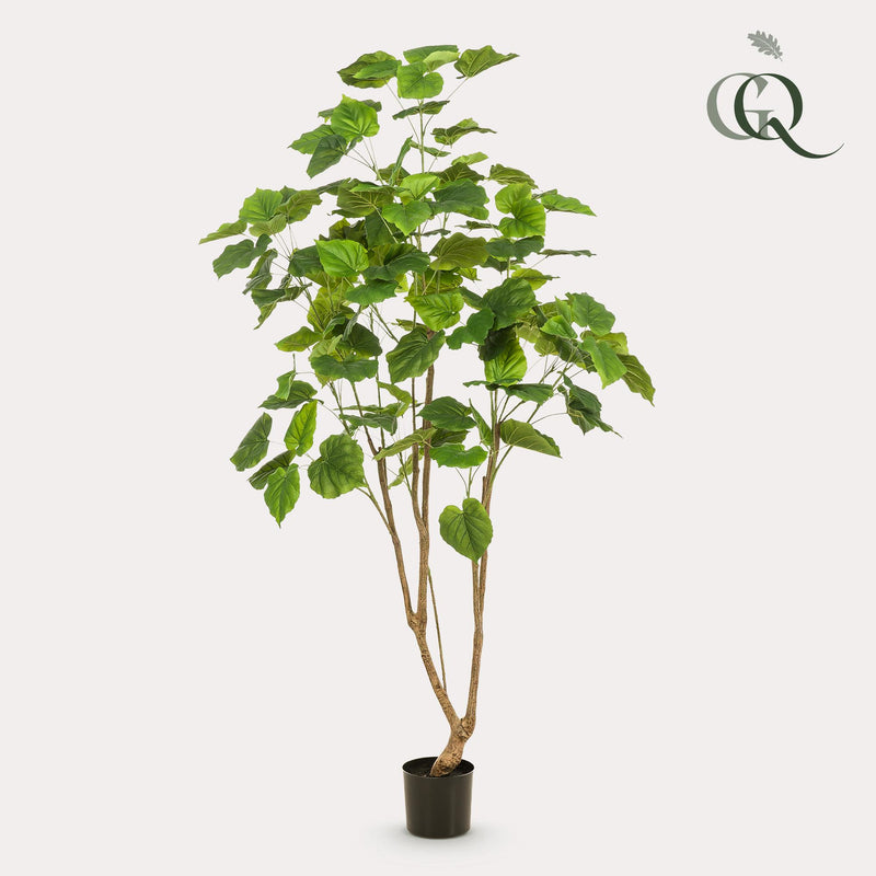 Ficus Umbellata kunstplant (Afrikaanse Vijg)