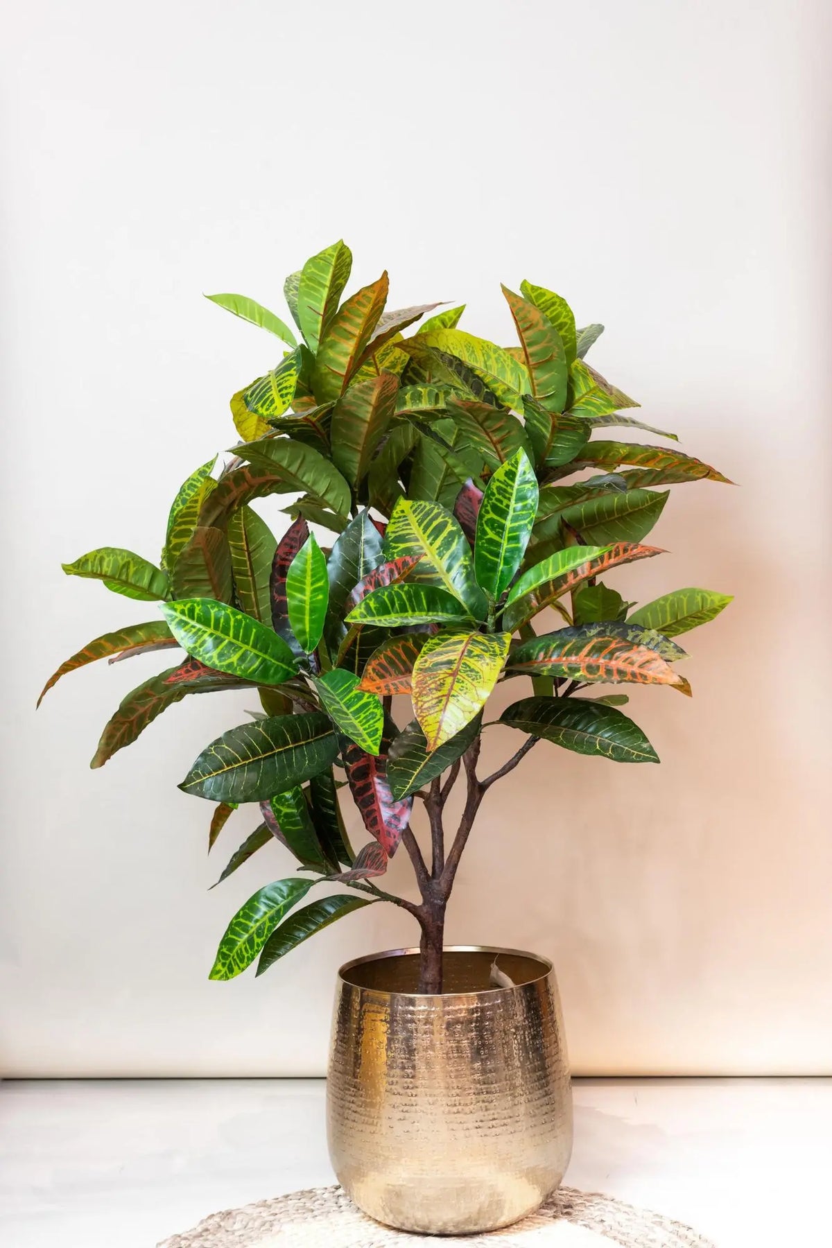 Croton Codiaeum Kunstplant (Wonderstruik) Everspring