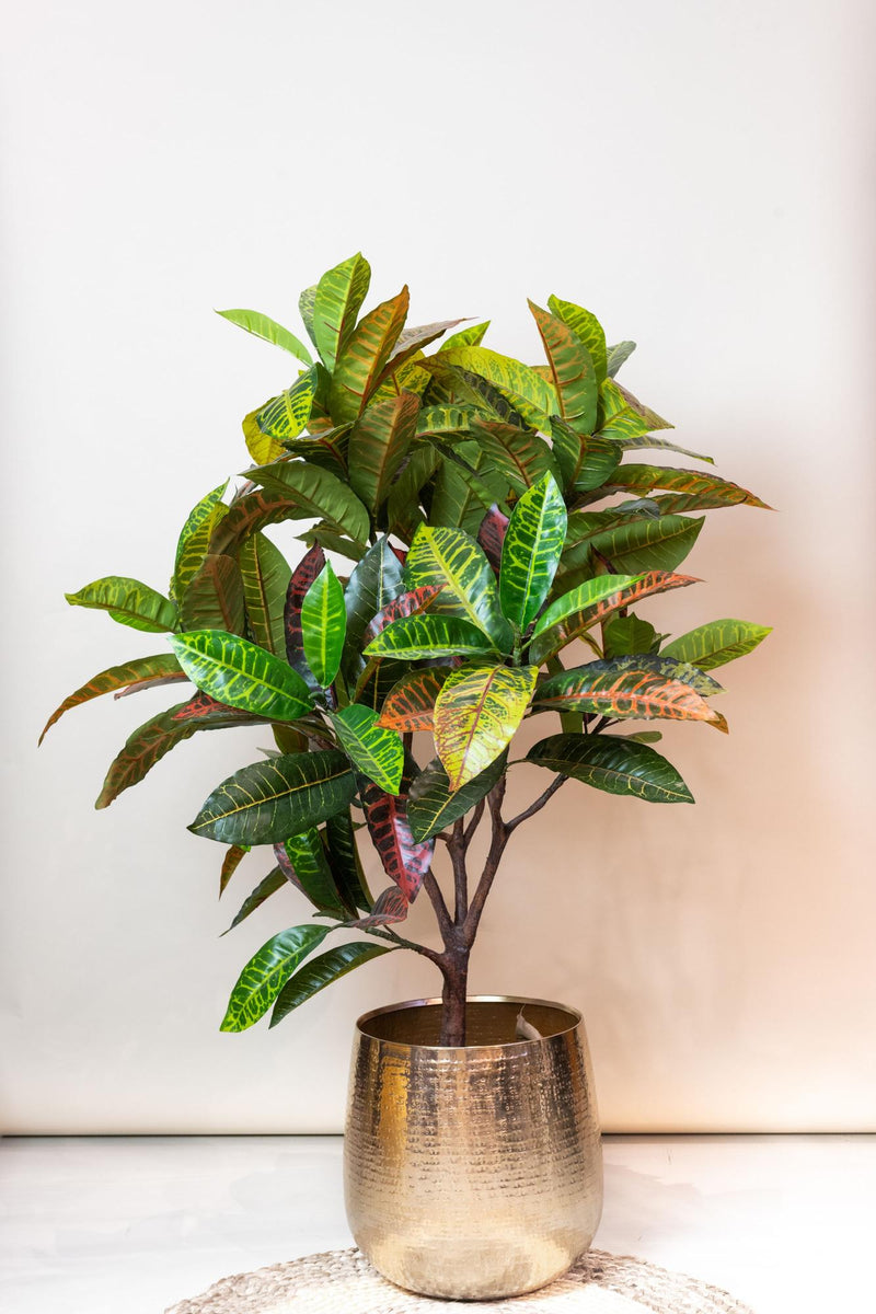 Croton Codiaeum Kunstplant (Wonderstruik)
