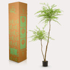 Sophora Tree Kunstplant (Honingboom)