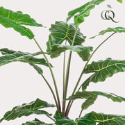 Alocasia kunstplant (Olifantsoor) Everspring