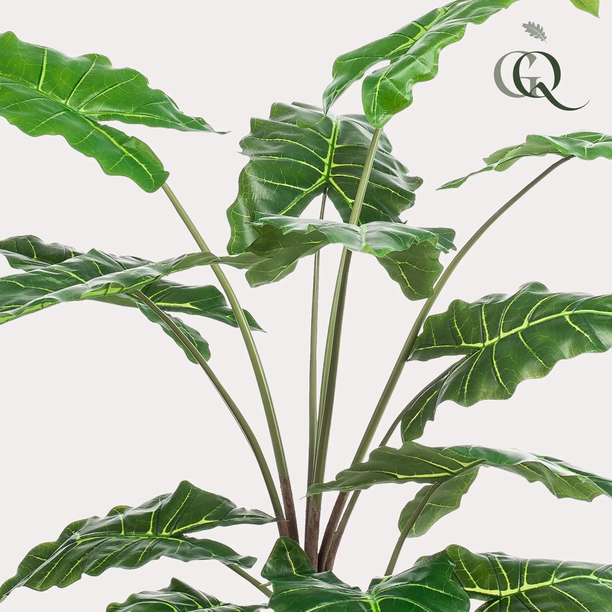 Alocasia kunstplant (Olifantsoor) Everspring