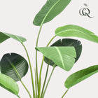 Strelitzia Nicolai Kunstplant (Paradijsvogelbloem)