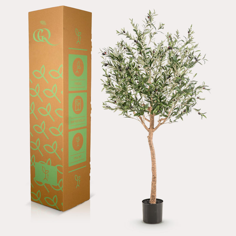 Kunst Olijfboom (Olea europaea)