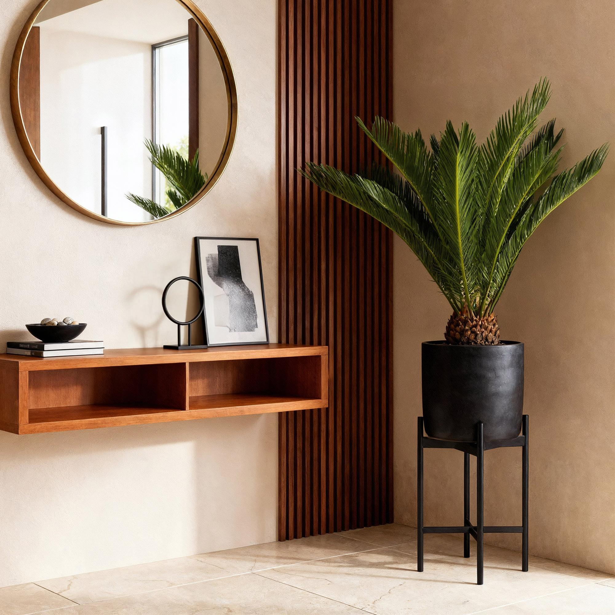 Cycas revoluta (Palmvaren)