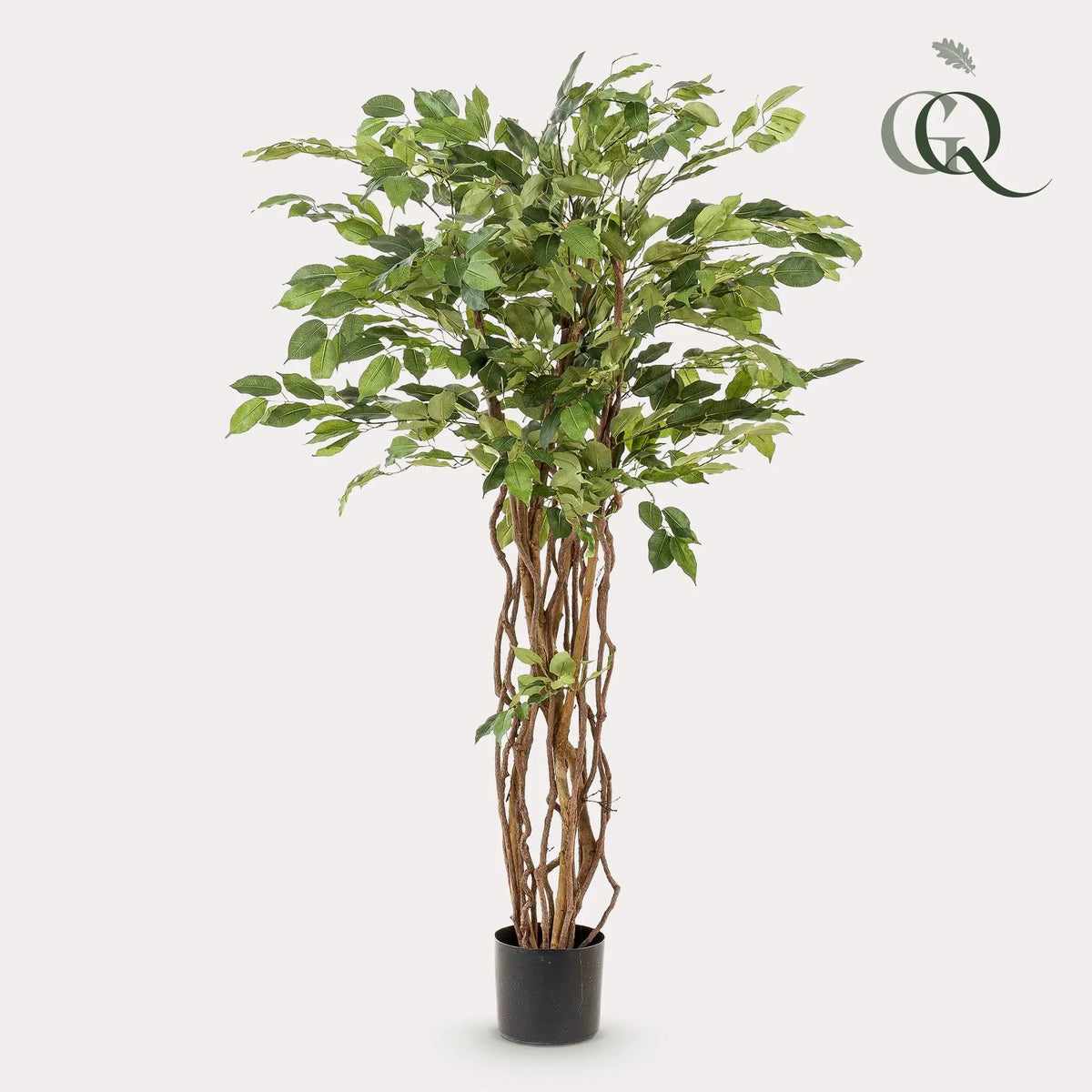 Ficus Liana Kunstplant (Vioolbladplant) Everspring