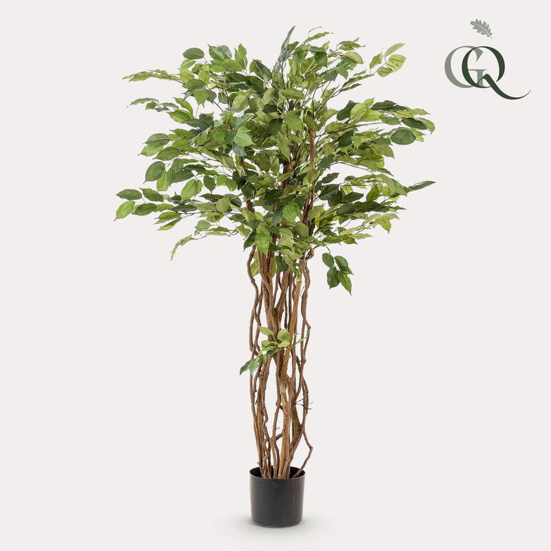 Ficus Liana Kunstplant (Vioolbladplant)