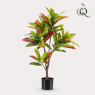Croton Codiaeum Kunstplant (Wonderstruik) Everspring