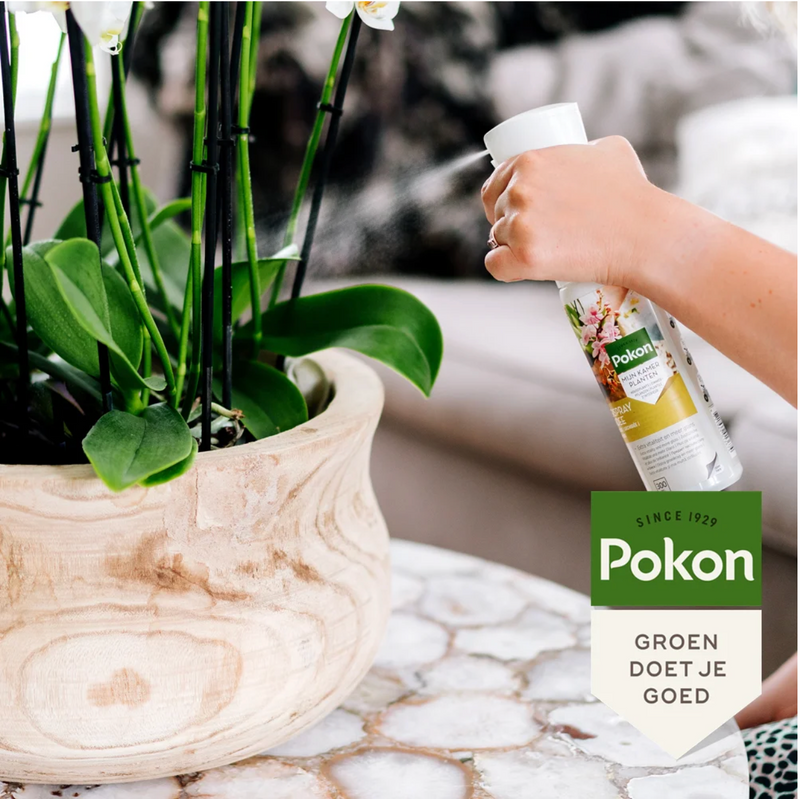 Pokon Powerspray Orchidee – 300ML