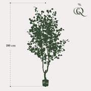Eucalyptus Kunstplant (Blauwe Gomboom)