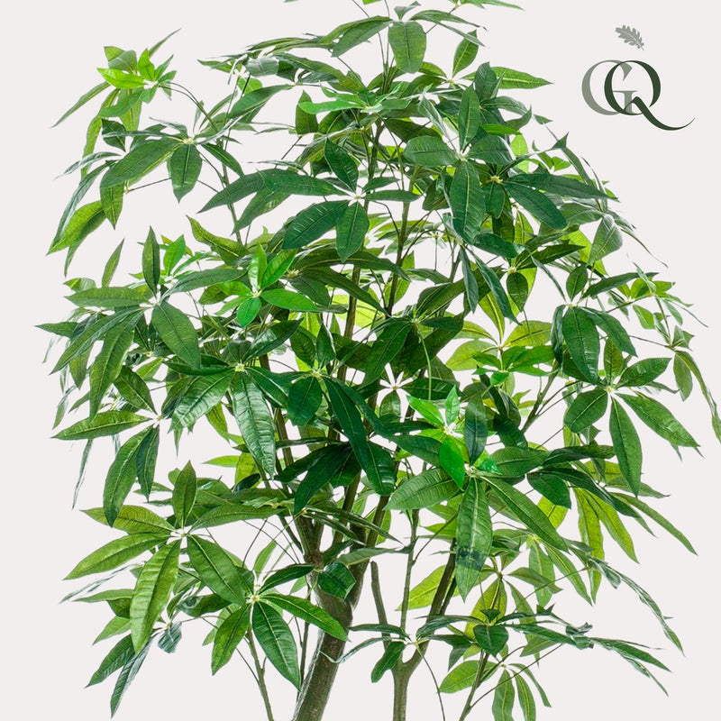 Pachira Aquatica Kunstplant (Geldboom)