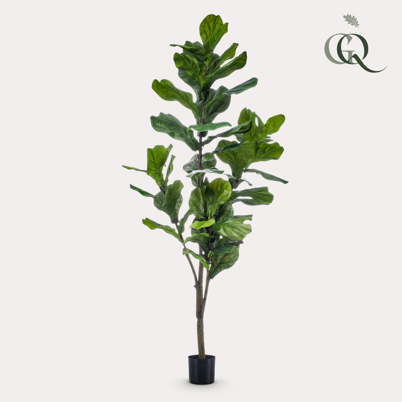 Ficus Lyrata Kunstplant (Vioolbladplant)