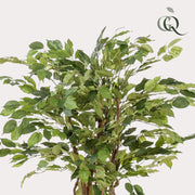 Ficus Liana Kunstplant (Vioolbladplant) Everspring