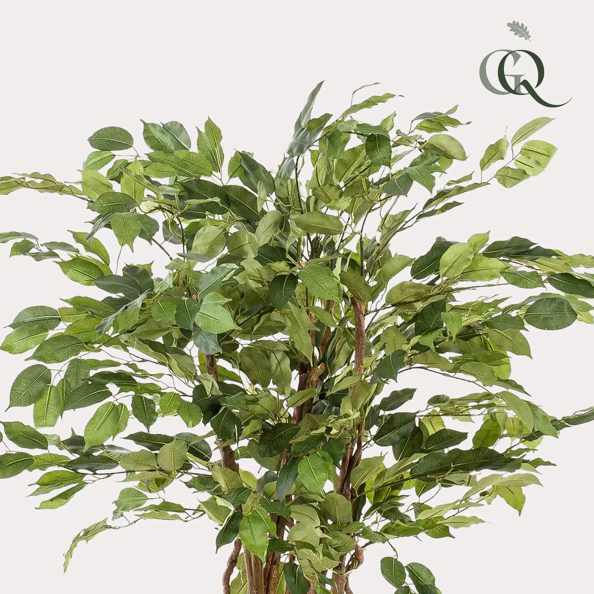 Ficus Liana Kunstplant (Vioolbladplant) Everspring