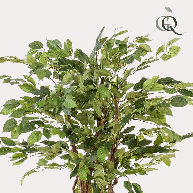 Ficus Liana Kunstplant (Vioolbladplant)