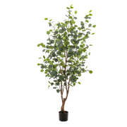 Eucalyptus Kunstplant (Blauwe Gomboom) Everspring