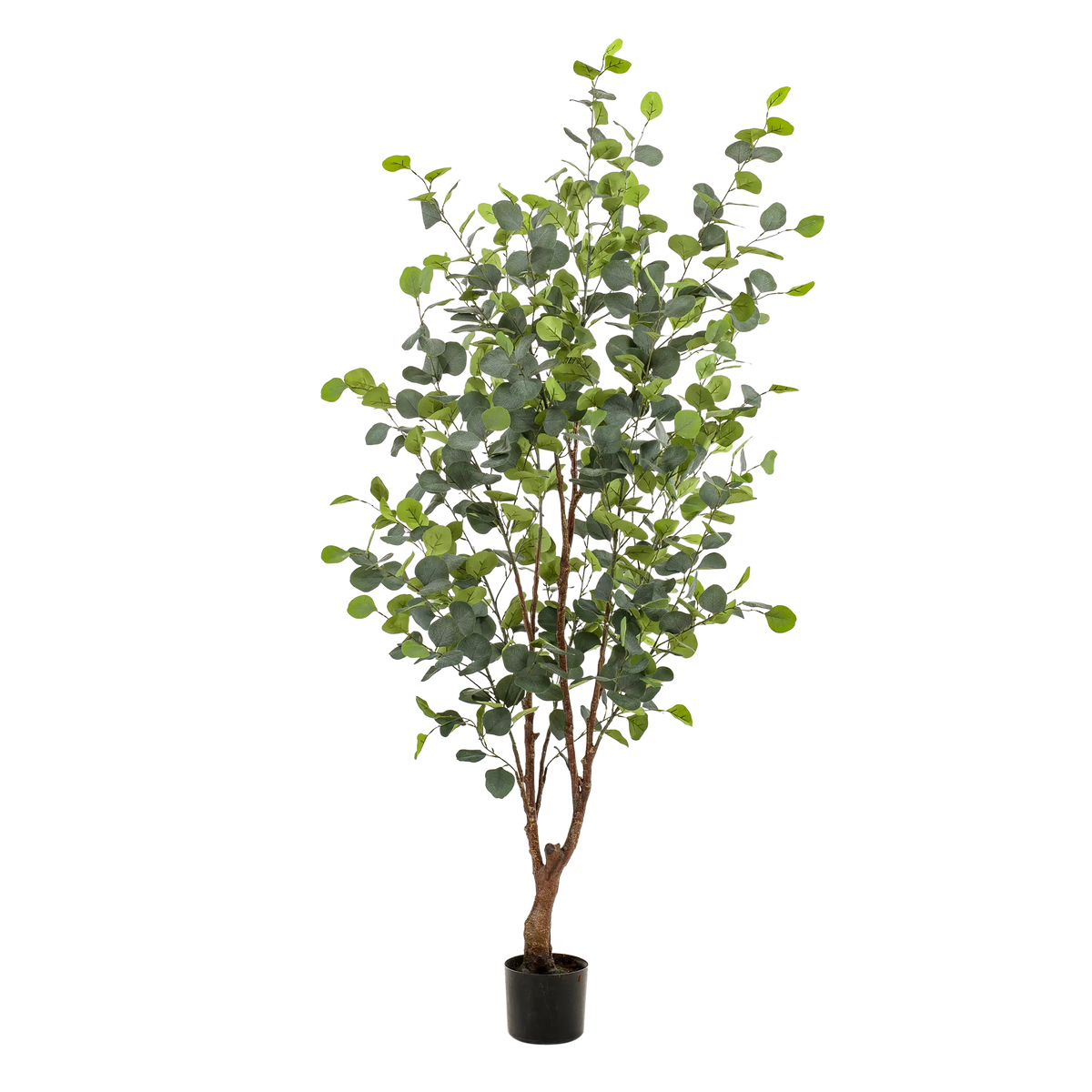 Eucalyptus Kunstplant (Blauwe Gomboom) Everspring