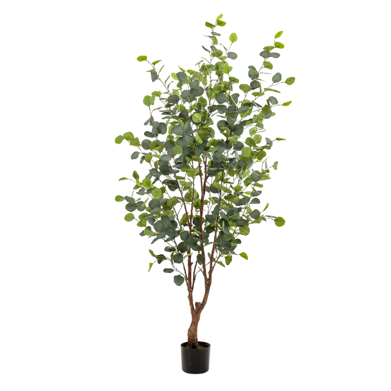 Eucalyptus Kunstplant (Blauwe Gomboom)
