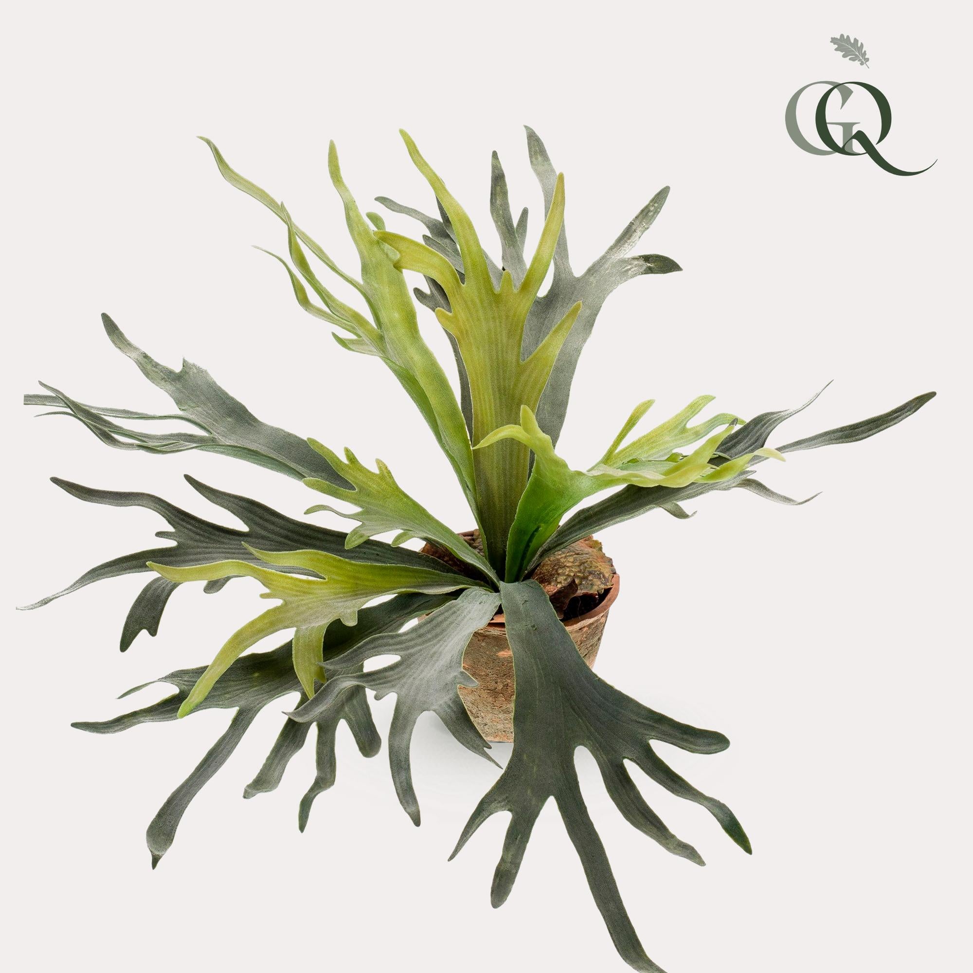 Staghorn Fern Kunstplant (Hertshoorn)