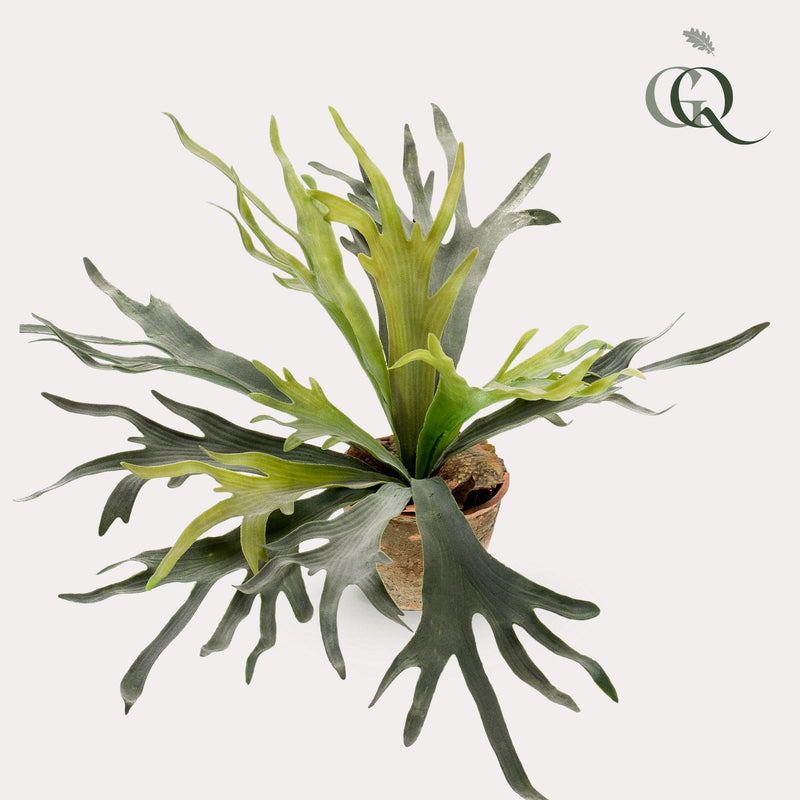 Staghorn Fern Kunstplant (Hertshoorn)