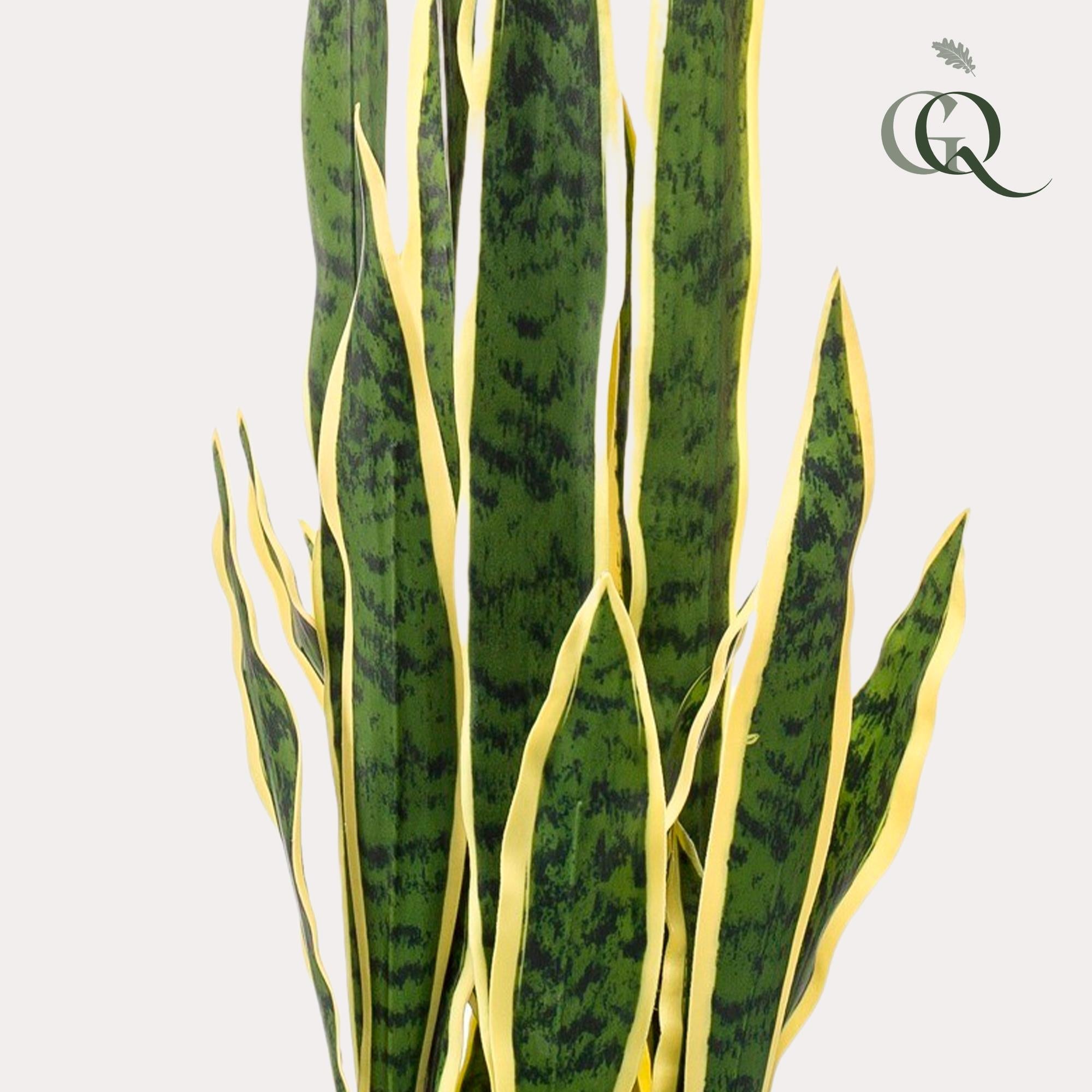 Sansevieria Trifasciata Kunstplant (Vrouwentong)