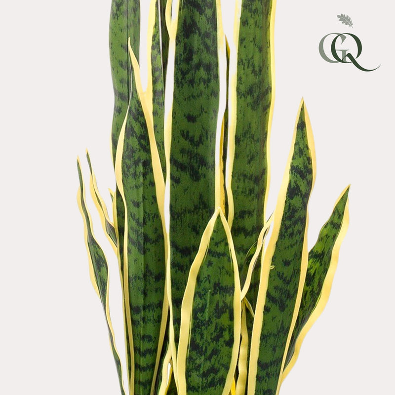 Sansevieria Trifasciata Kunstplant (Vrouwentong)