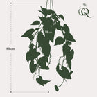 Philodendron Scandens (kunstplant)