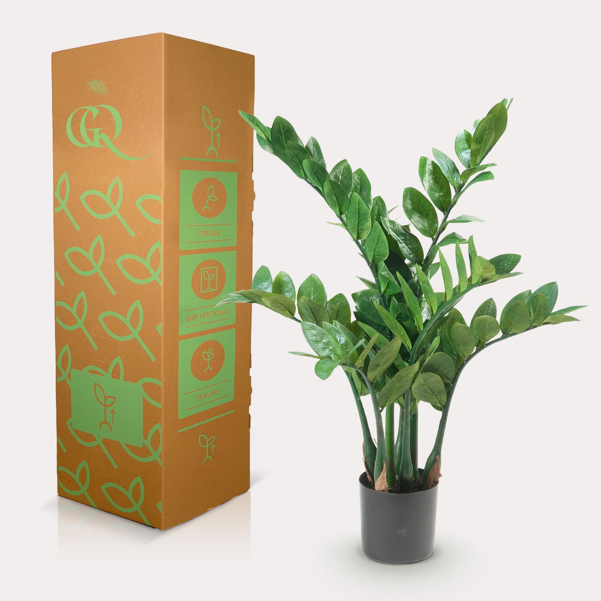 Zamioculcas Kunstplant (ZZ Plant)