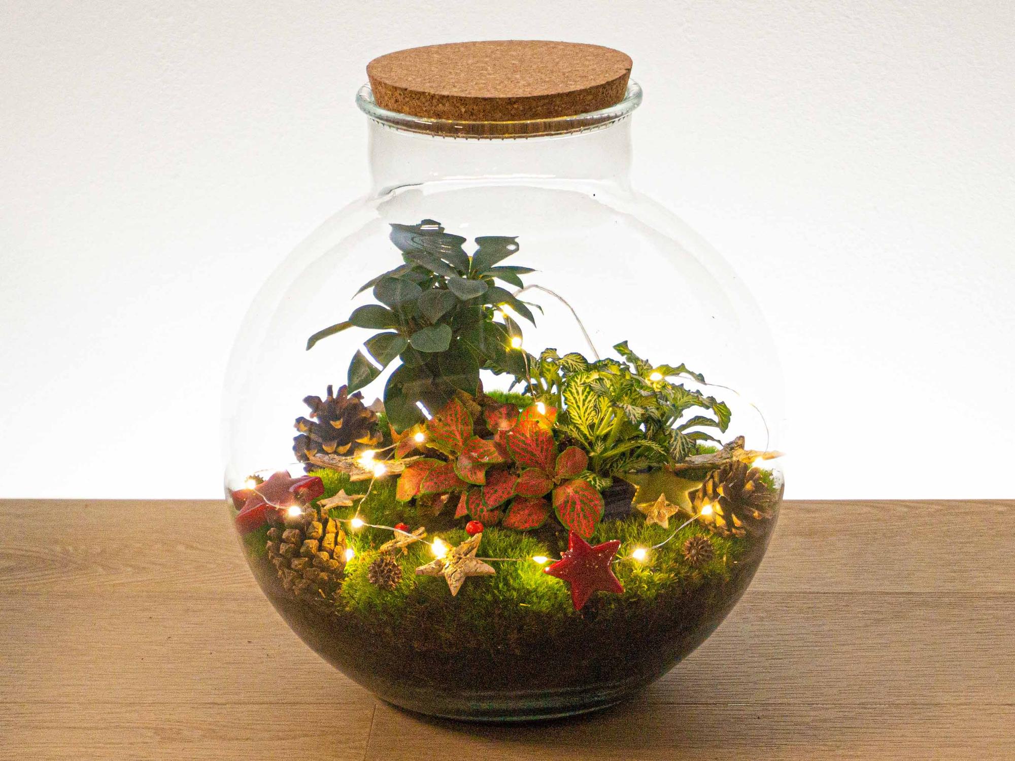 Christmas Terrarium Decoration Kit