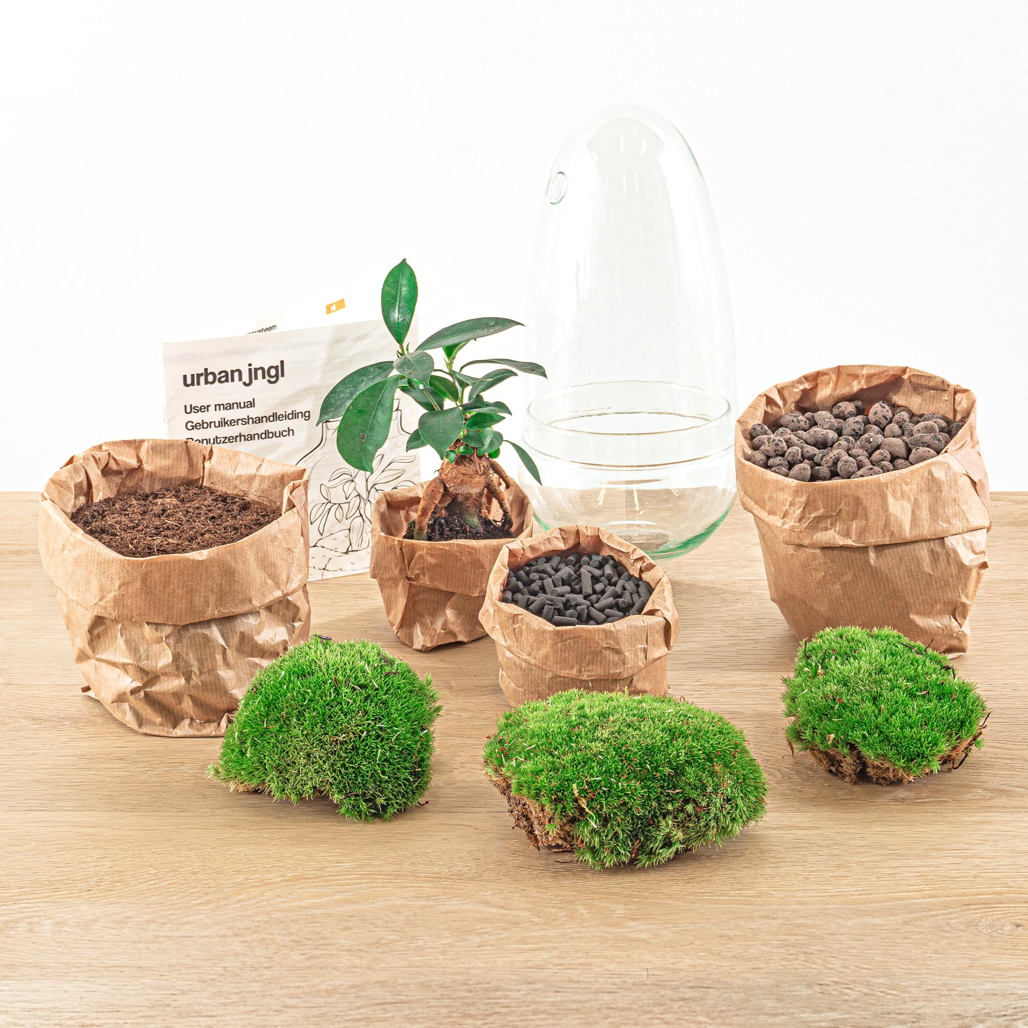 Egg Bonsai Terrarium