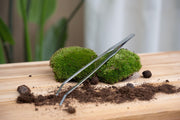 Terrarium Pincet – Metaal