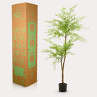 Sophora Tree Kunstplant (Honingboom)