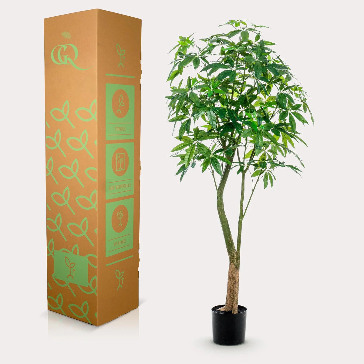 Pachira Aquatica Kunstplant (Geldboom) Everspring