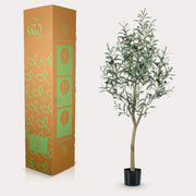 Kunst Olijfboom (Olea europaea) Everspring