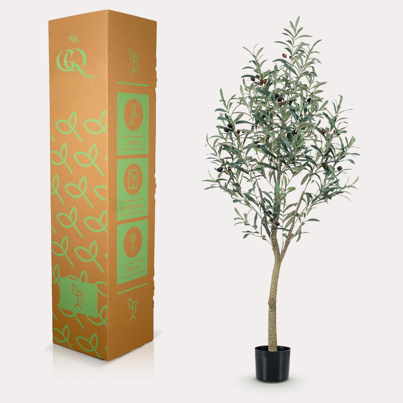 Kunst Olijfboom (Olea europaea)