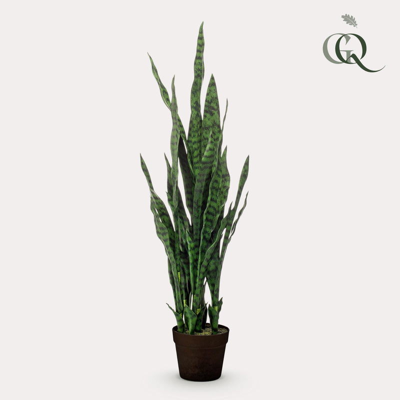 Sansevieria Black Coral Kunstplant (Vrouwentong)