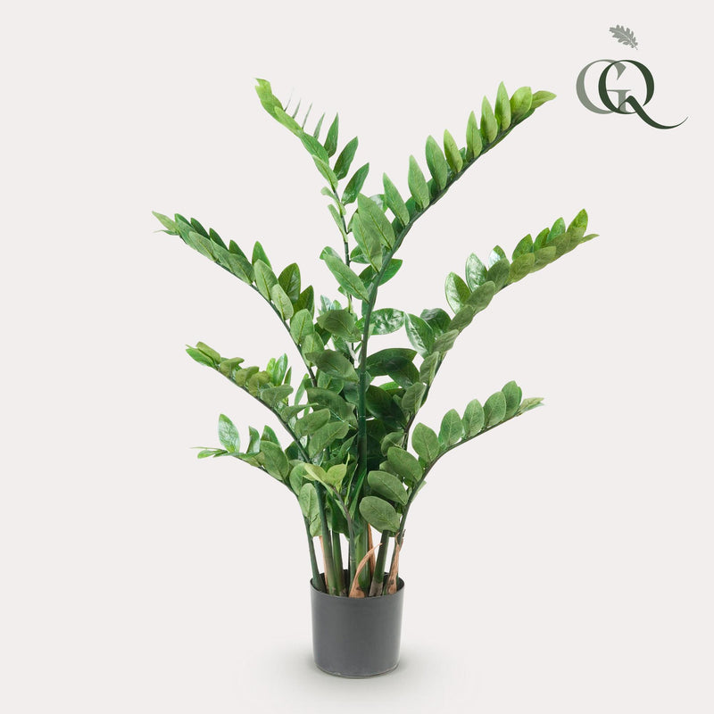 Zamioculcas Kunstplant (Kamerpalm)