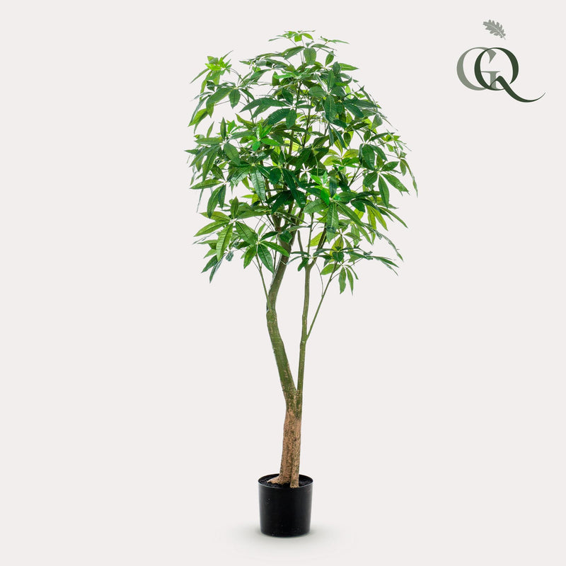 Pachira Aquatica Kunstplant (Geldboom)